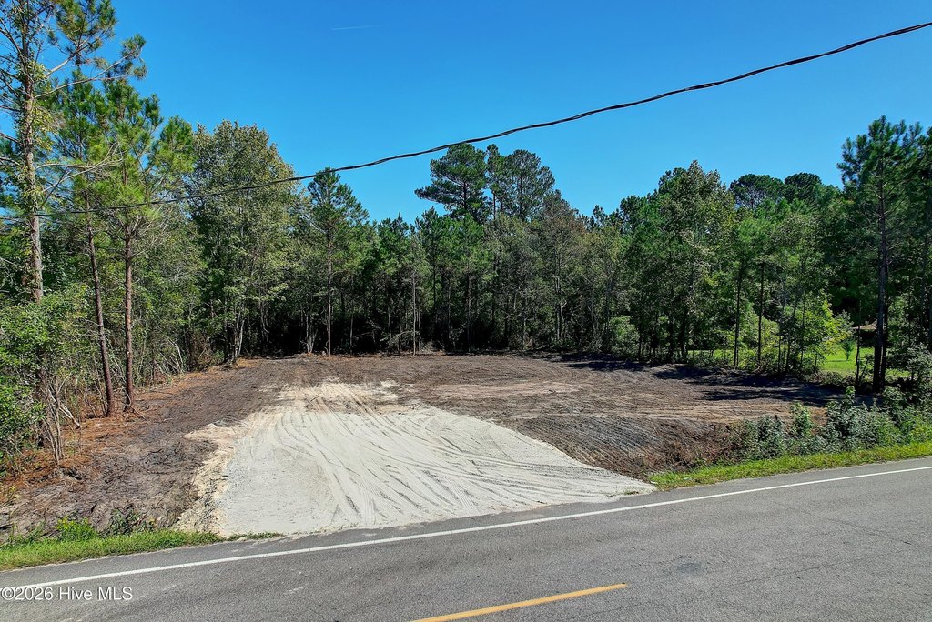 Picture 12
