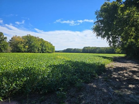 18.51 Acres in Parksley, VA