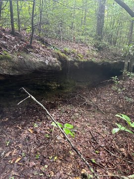 Wilder, TN Acreage with View