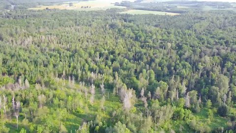 Presque Isle Land Opportunity