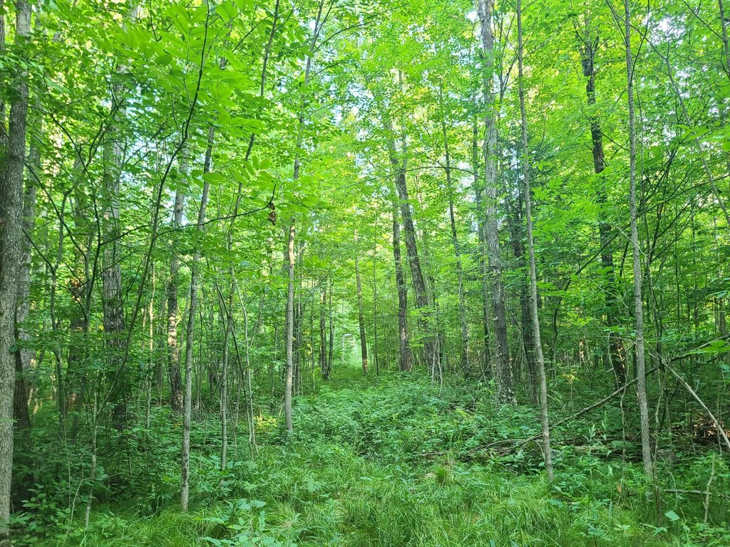 Picture 7