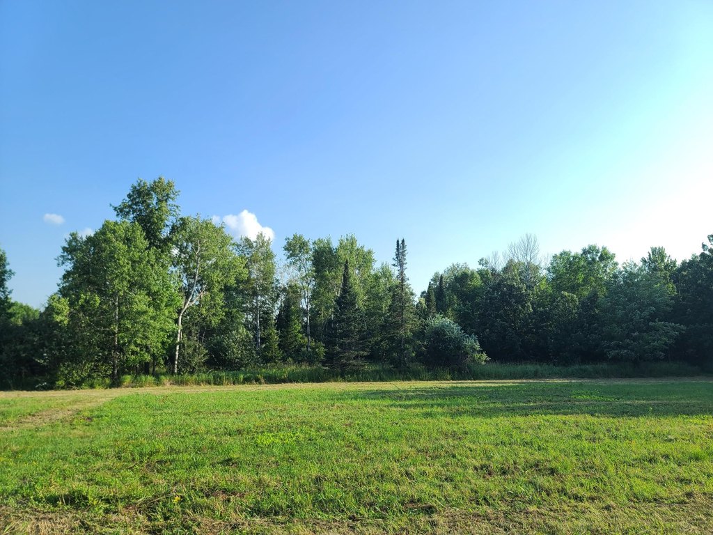 Picture 20