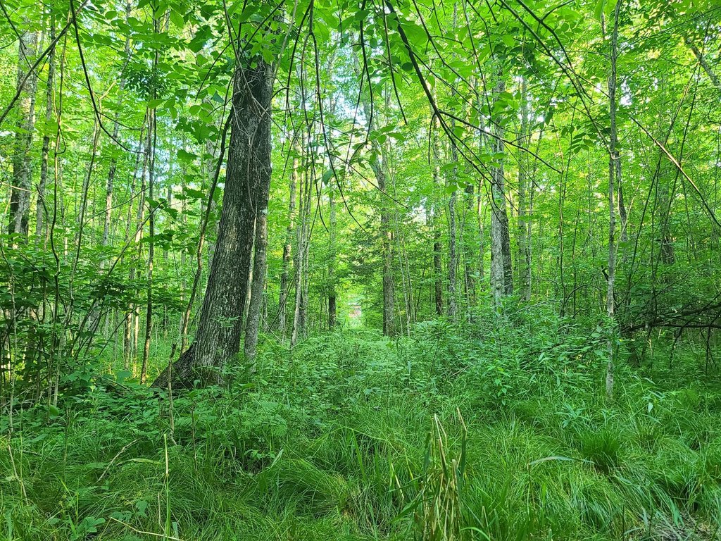 Picture 16