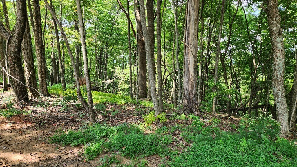 Picture 3