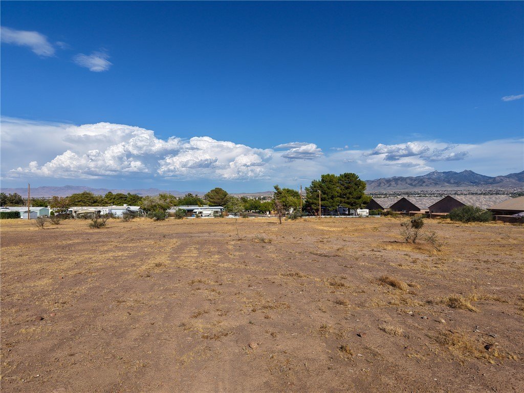 Picture 20