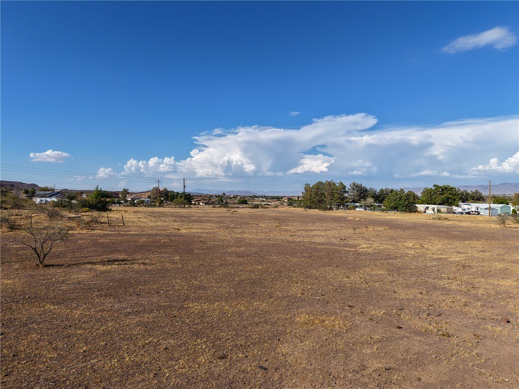 Picture 21
