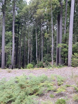 Land, Jenner, CA