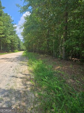 LAND - Carlton, GA