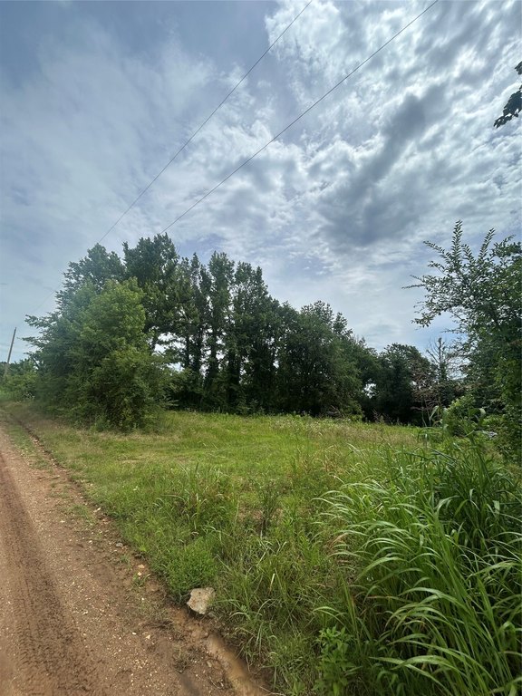 Picture 5