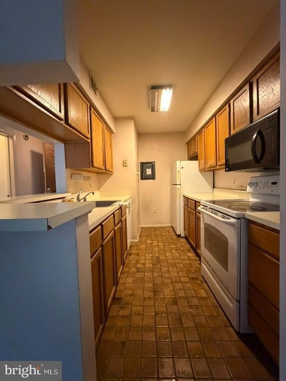 Picture 21