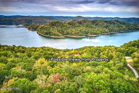 Tranquil 11+ Acre Mountain Lots