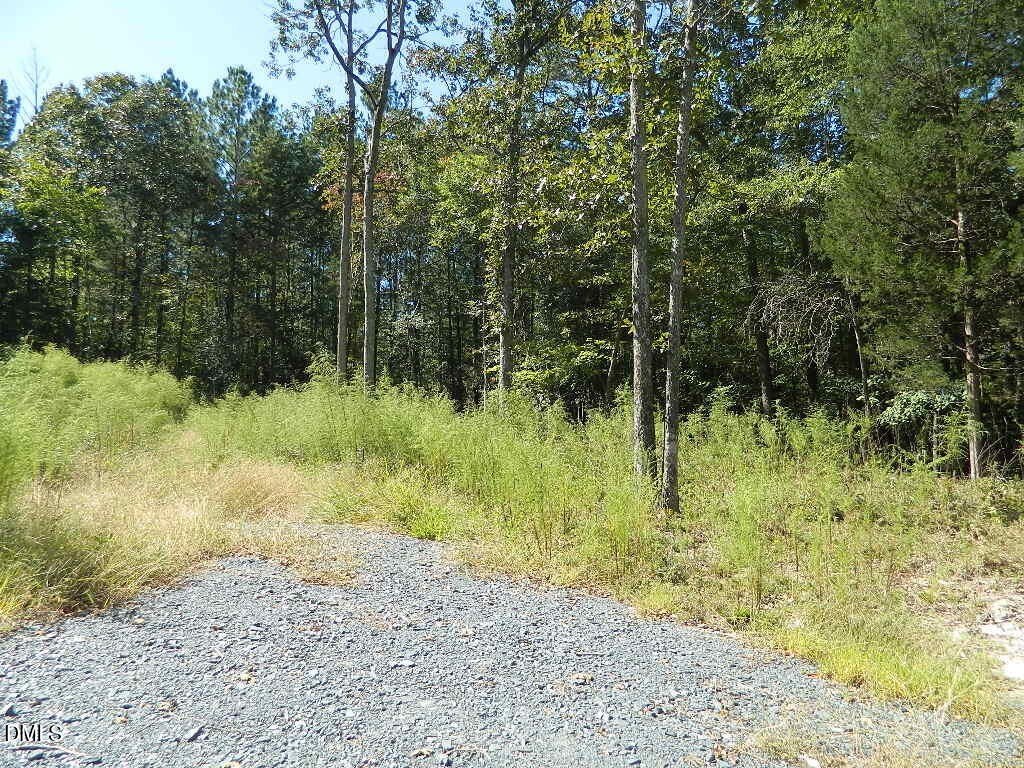 Picture 3