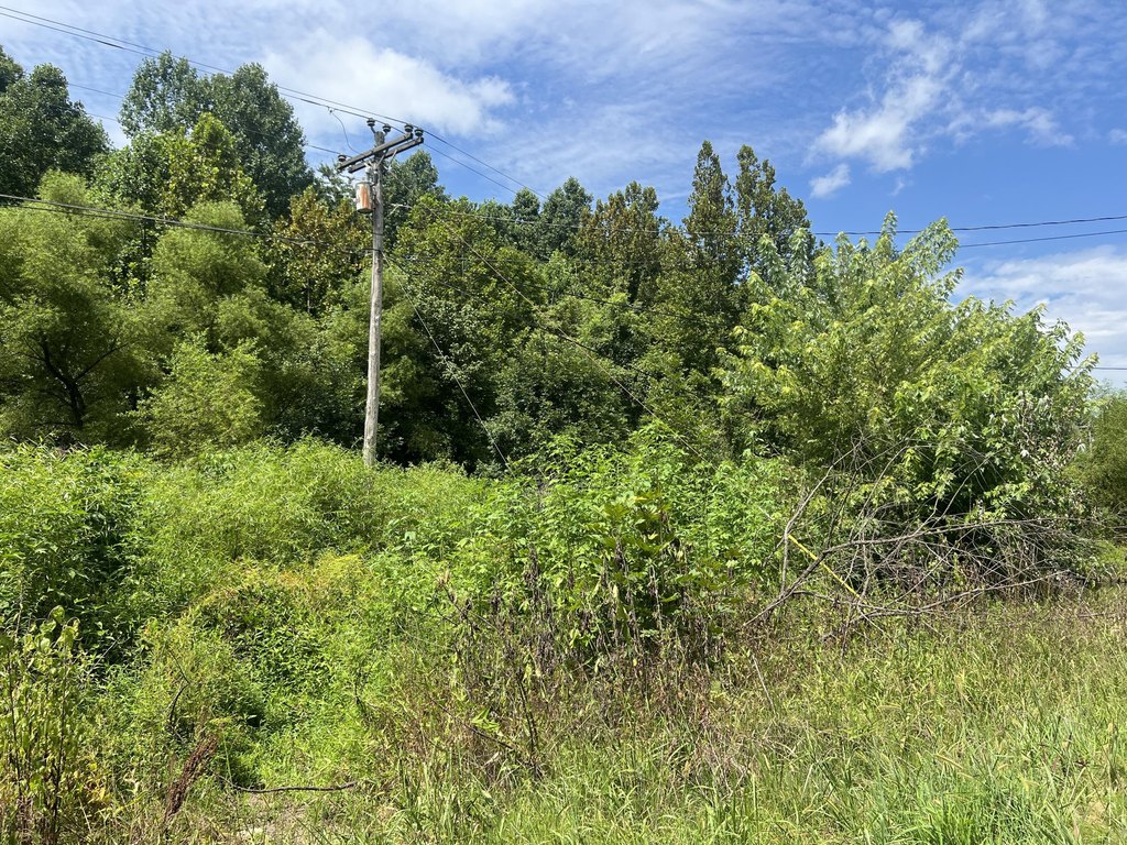 Picture 14