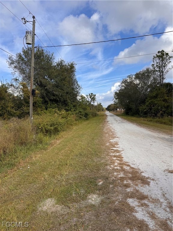 Picture 7