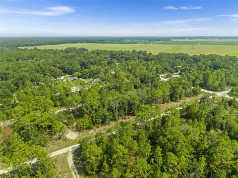 Land, WILLISTON, FL
