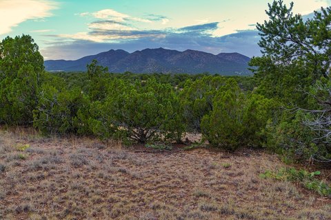 Forty Acre View Lot