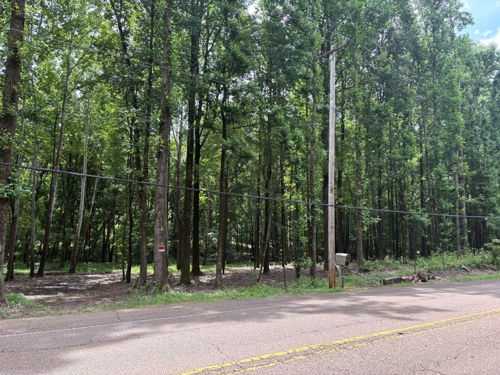 Picture 4