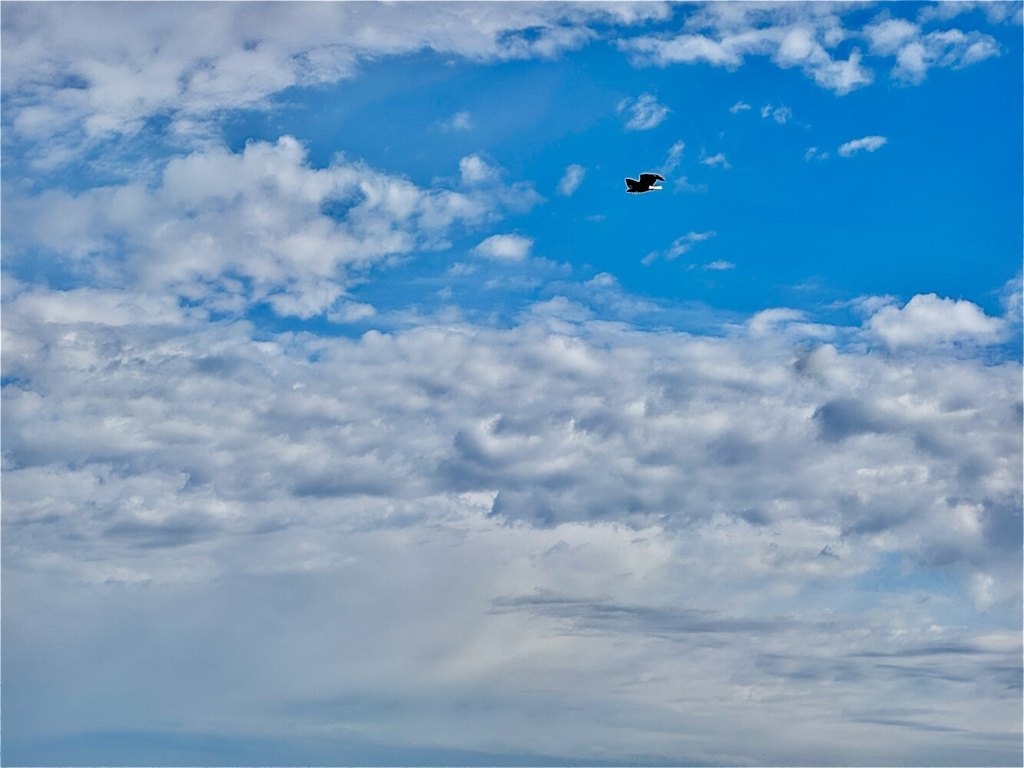 Picture 31