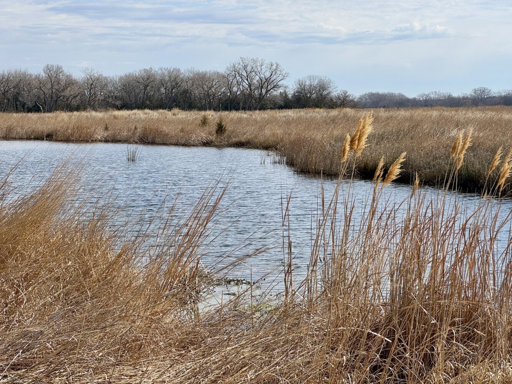 Picture 30