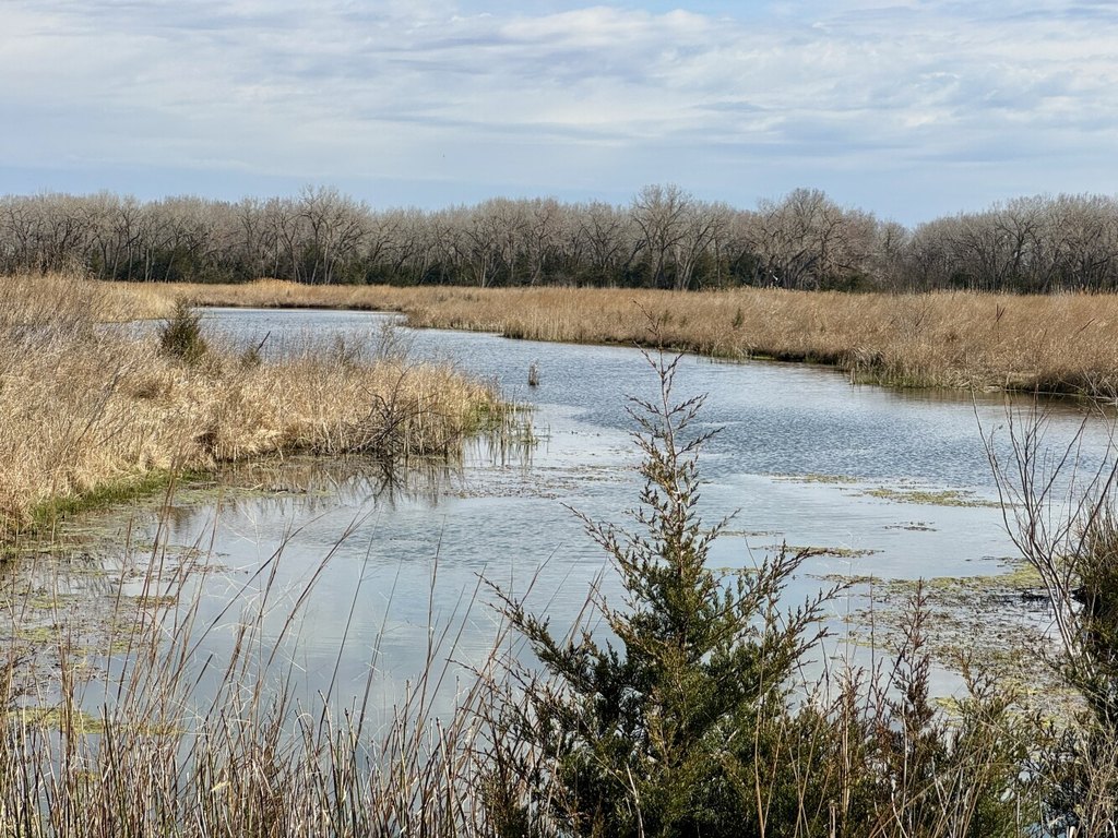 Picture 32