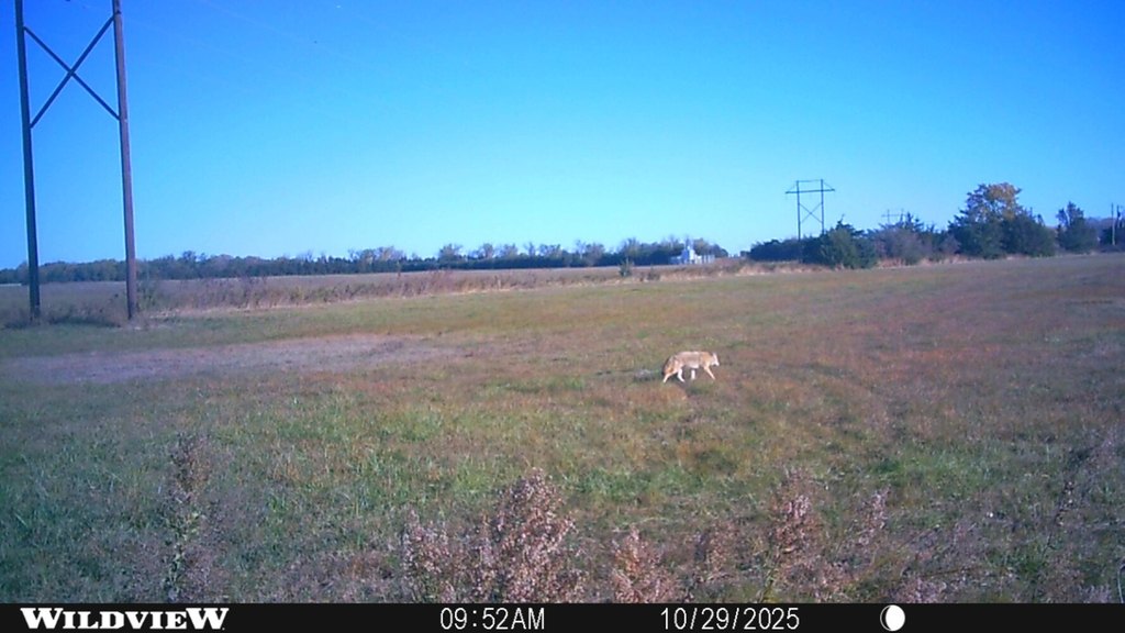 Picture 19