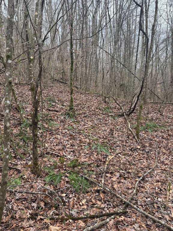 Picture 14