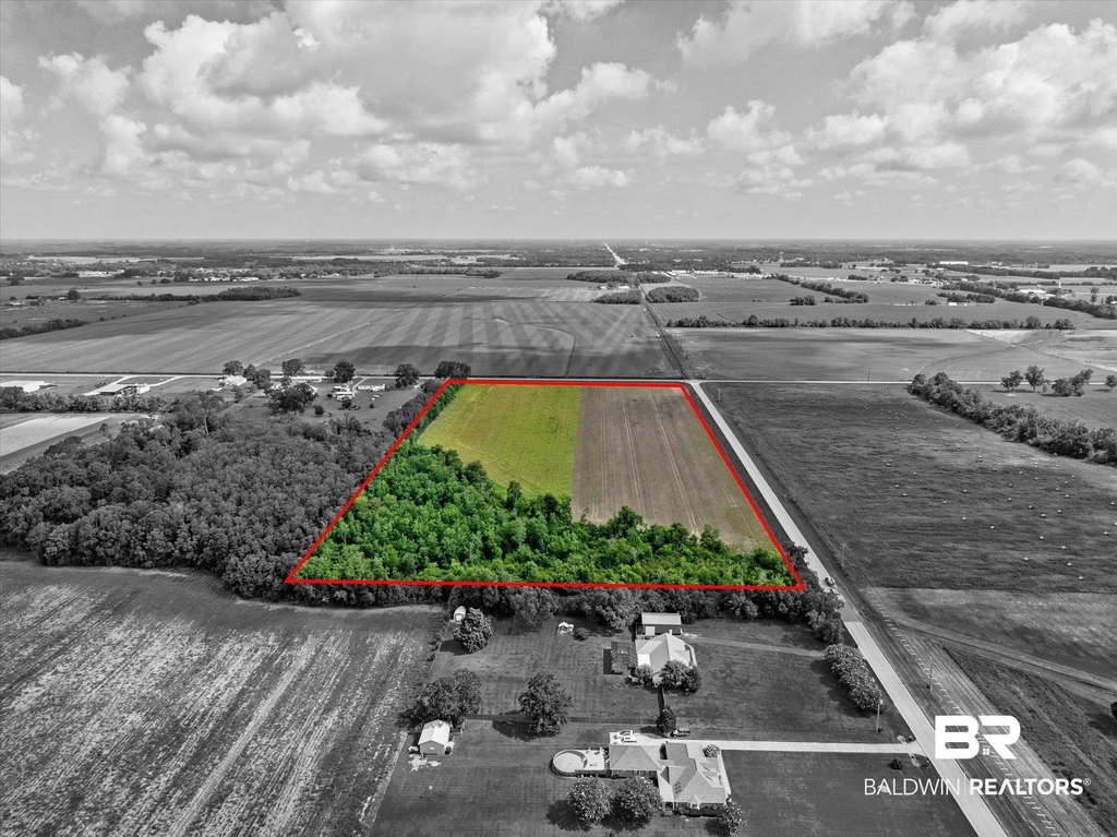 Picture 3