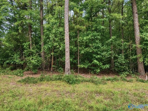 LAND - Cedar Bluff, AL
