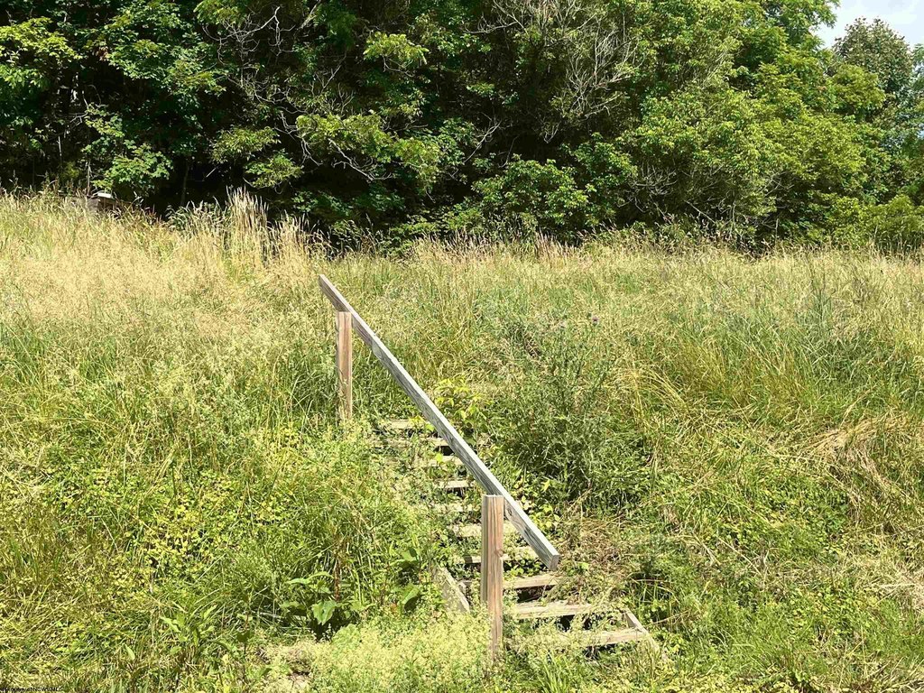 Picture 10