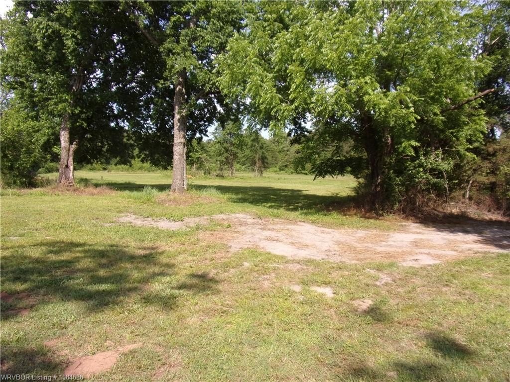Picture 6