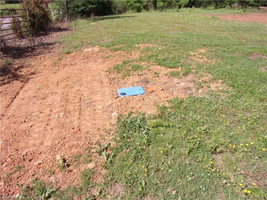 Picture 36