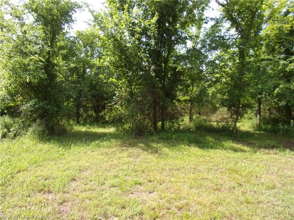 Picture 14
