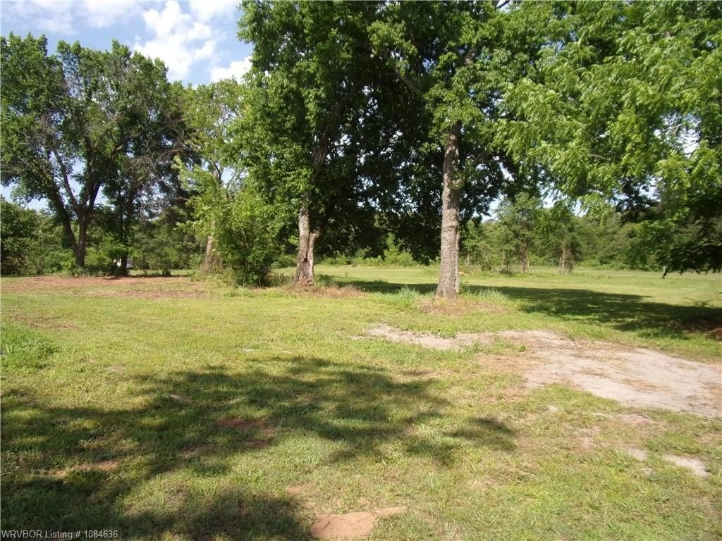 Picture 5