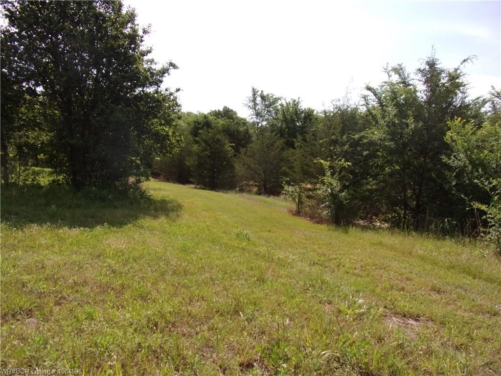 Picture 42