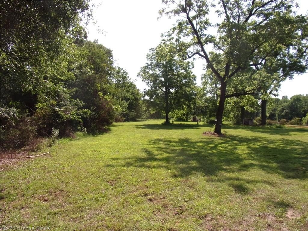 Picture 3
