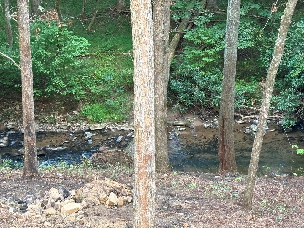 Picture 36