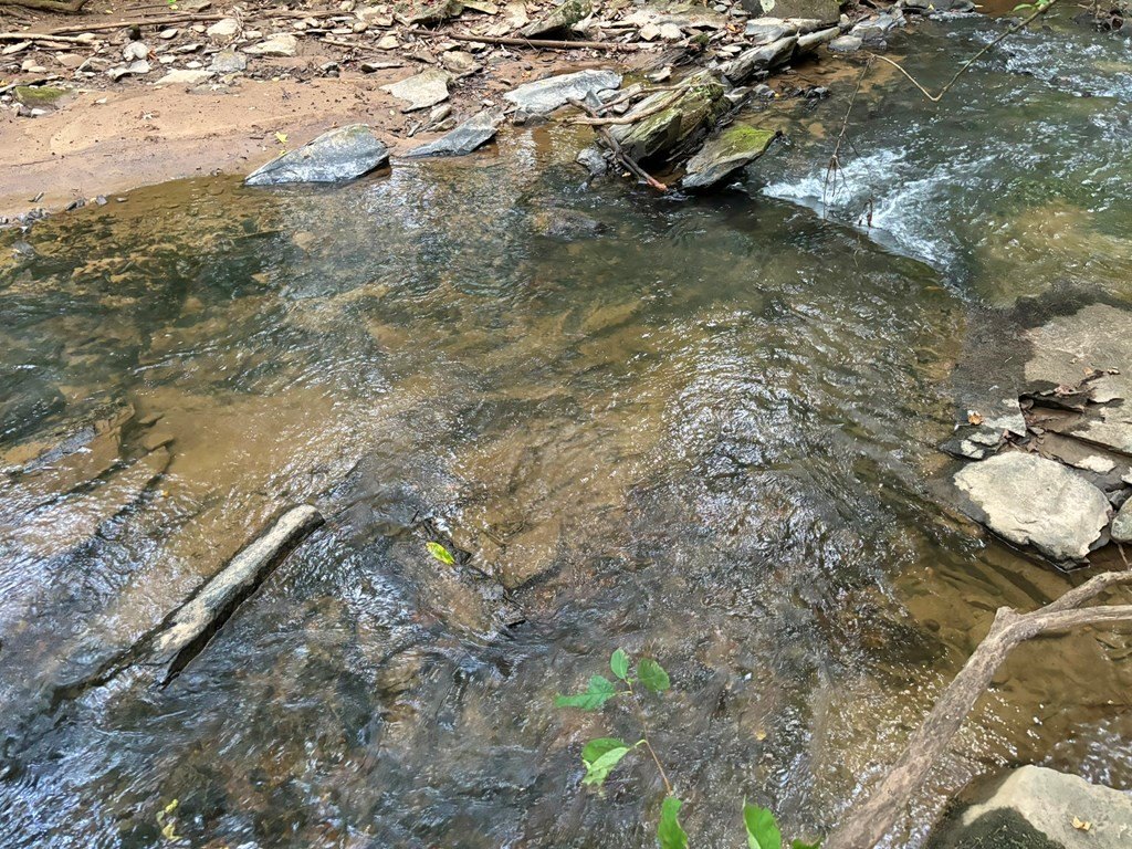 Picture 22
