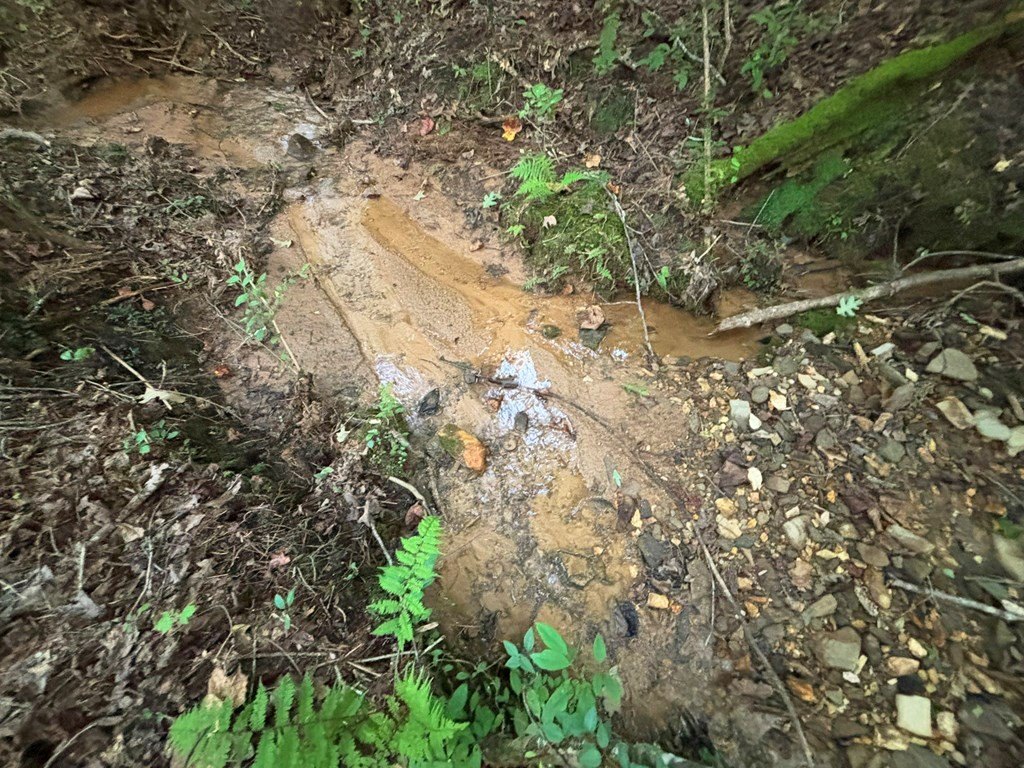 Picture 44