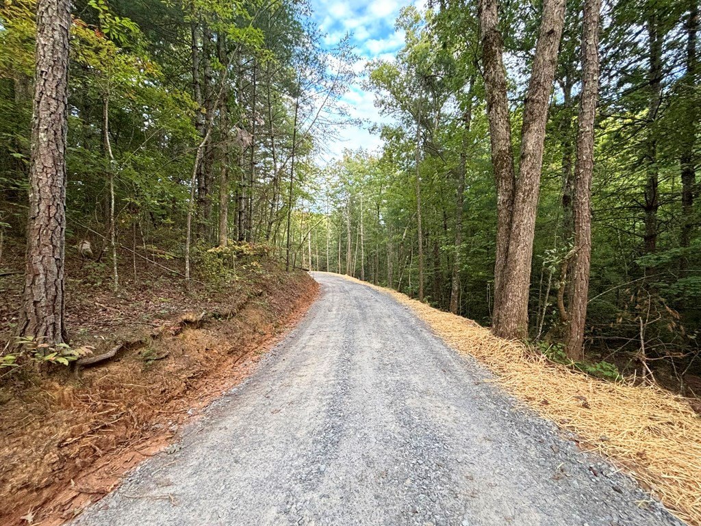 Picture 28
