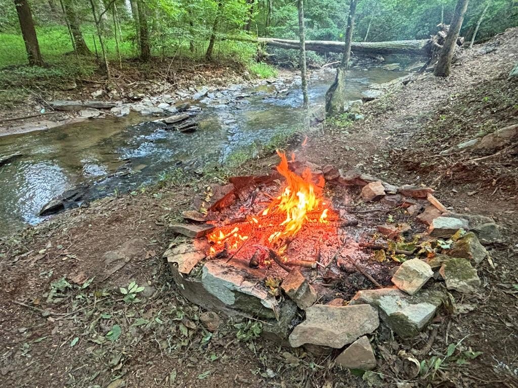 Picture 45