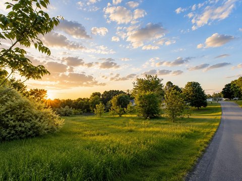 Expansive Land Parcel in Shelby