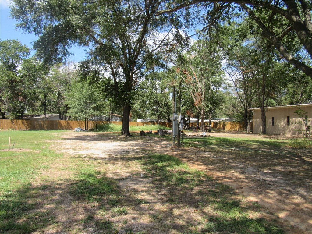 Picture 9