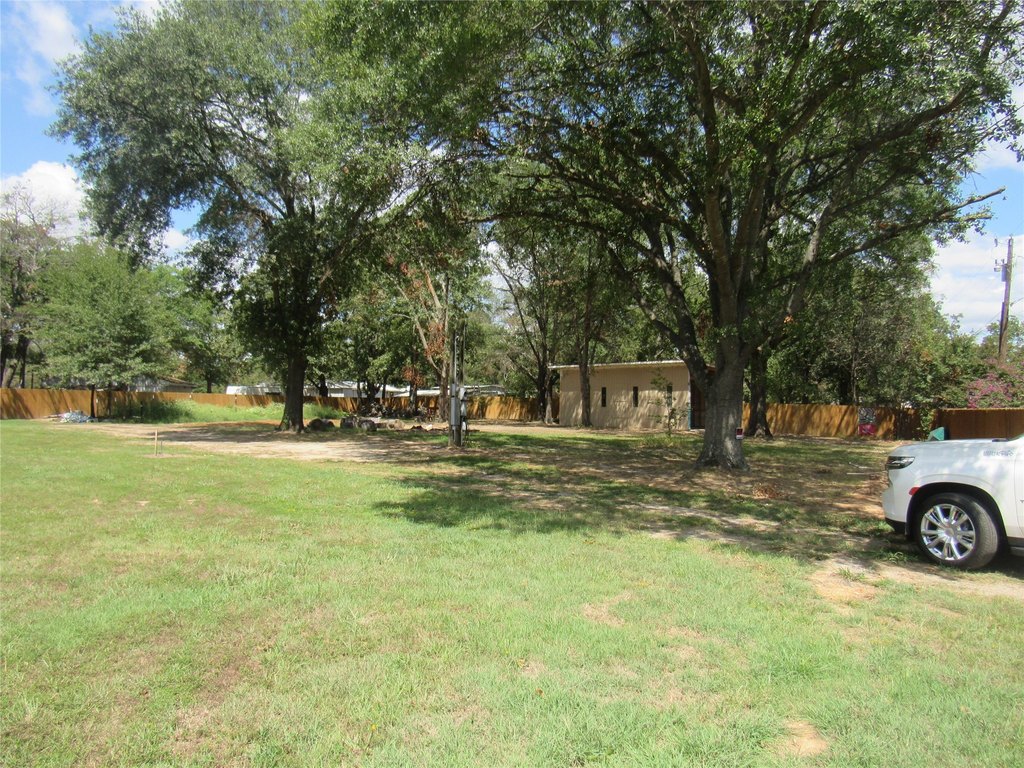Picture 14