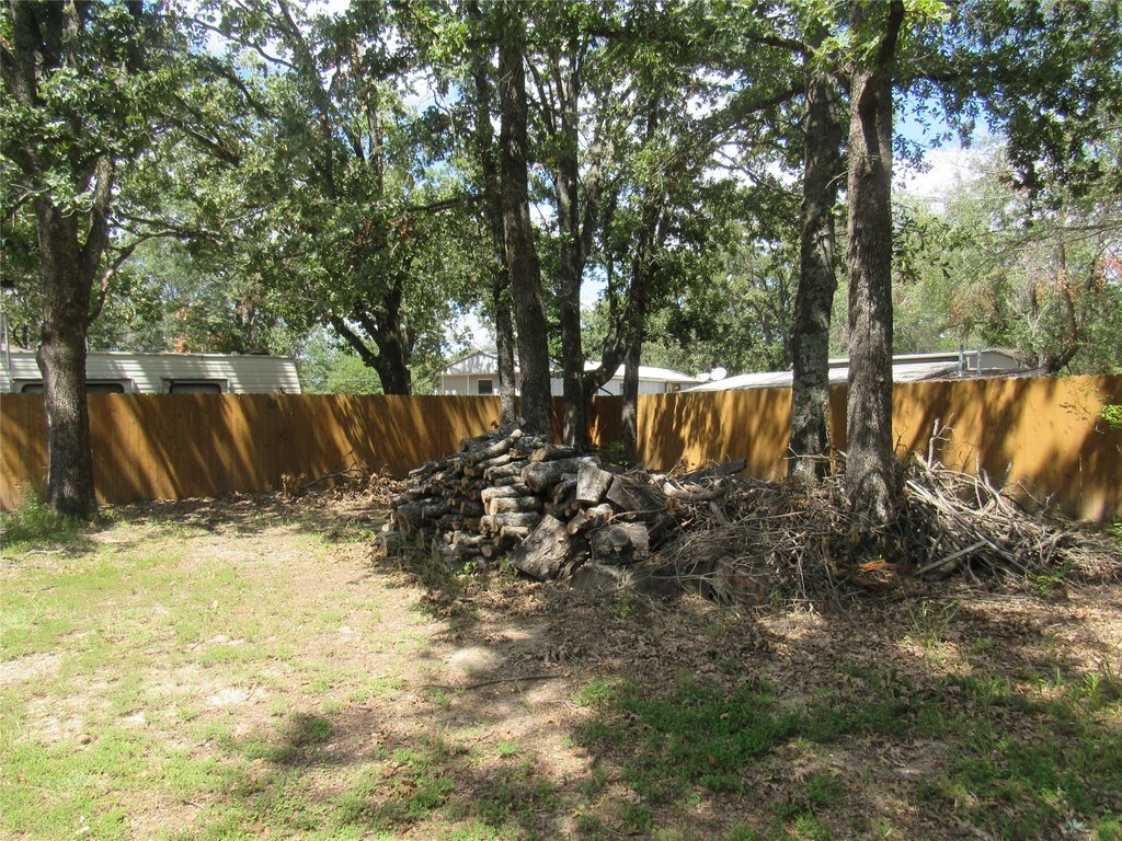 Picture 12