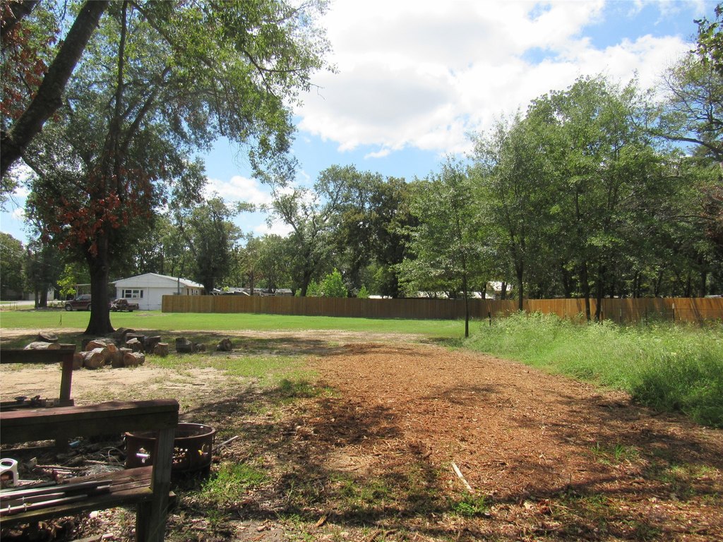Picture 15