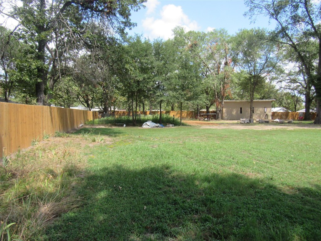 Picture 8