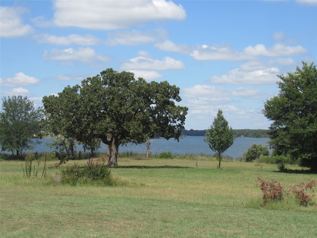 Picture 19