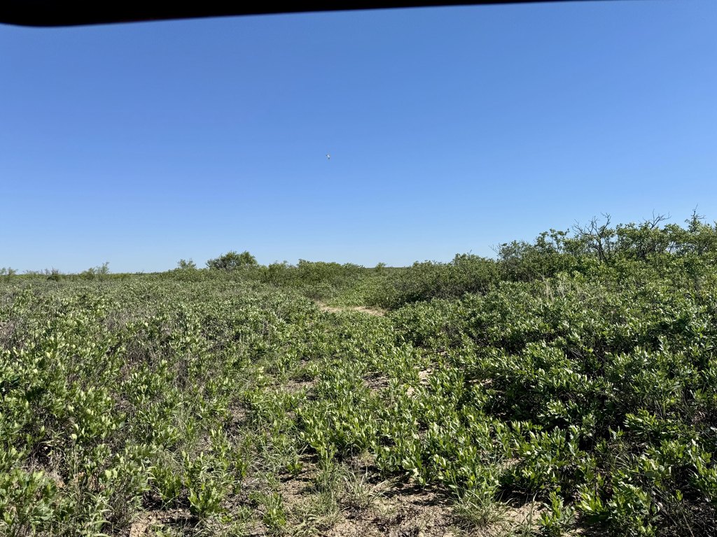 Picture 48