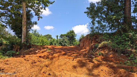 Ashland, MS 10-Acre Parcel