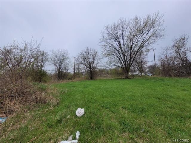 Picture 3